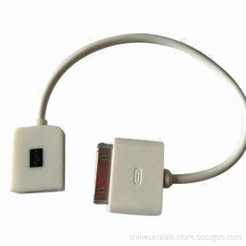OTG for iPhone 4